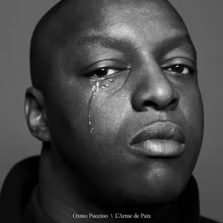 Pochette de L’arme de paix